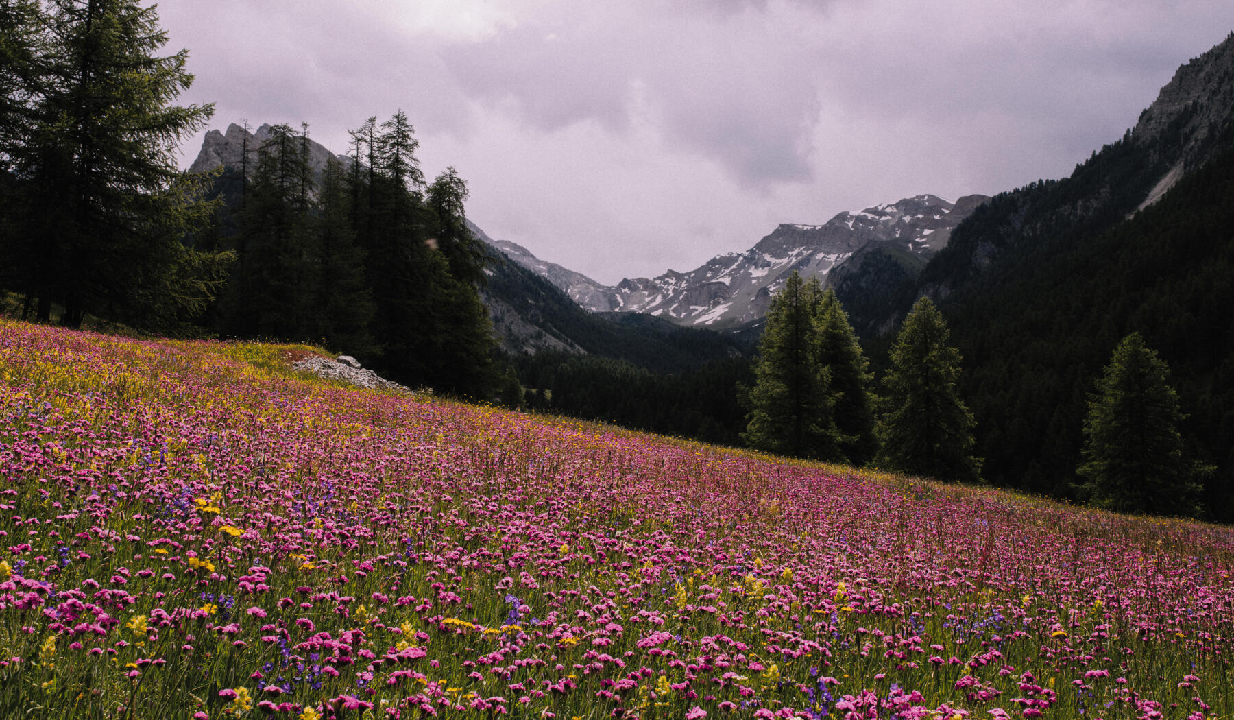 Natureza com vista para a montanha