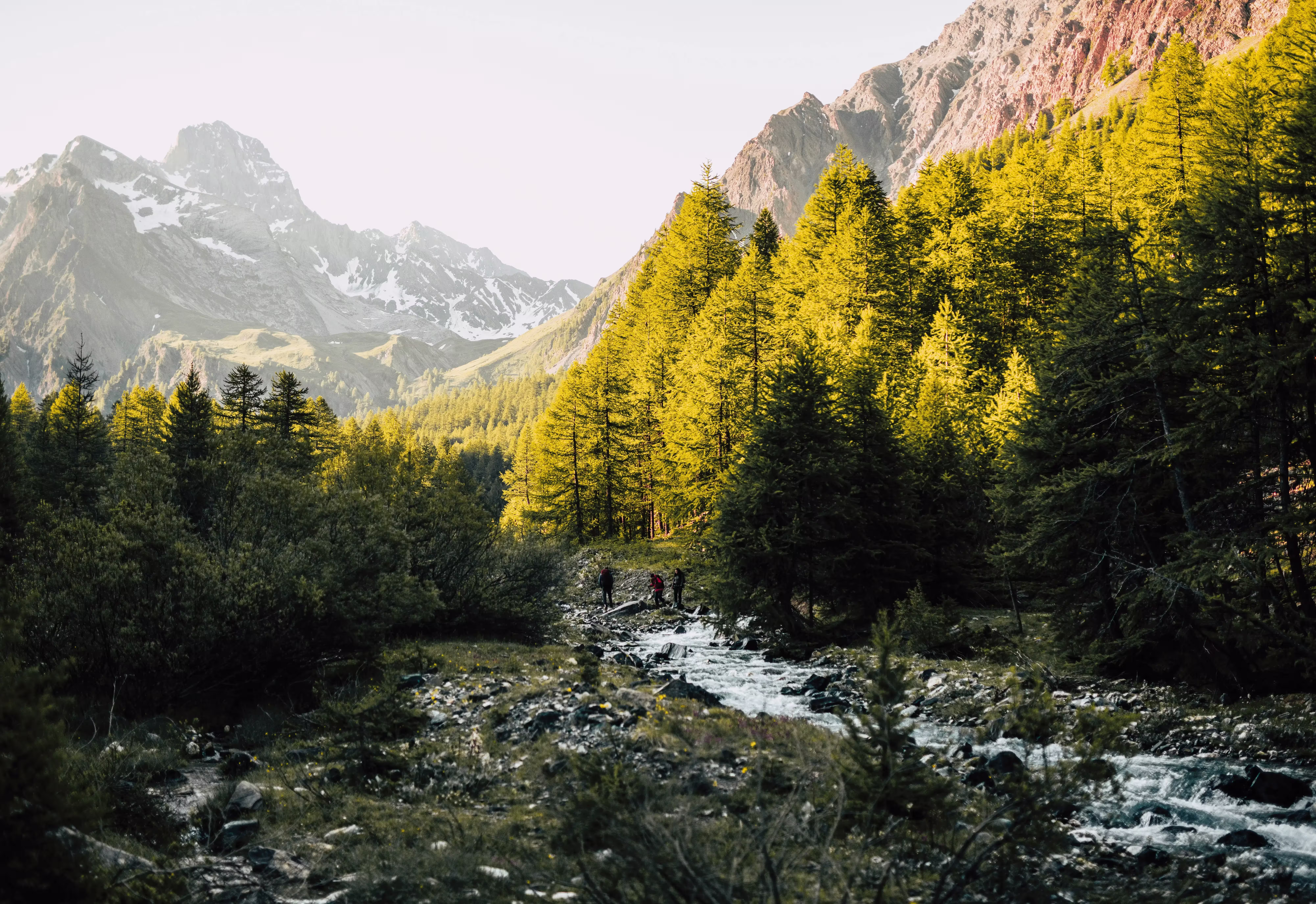 Les Alpes à la Via Alpina
