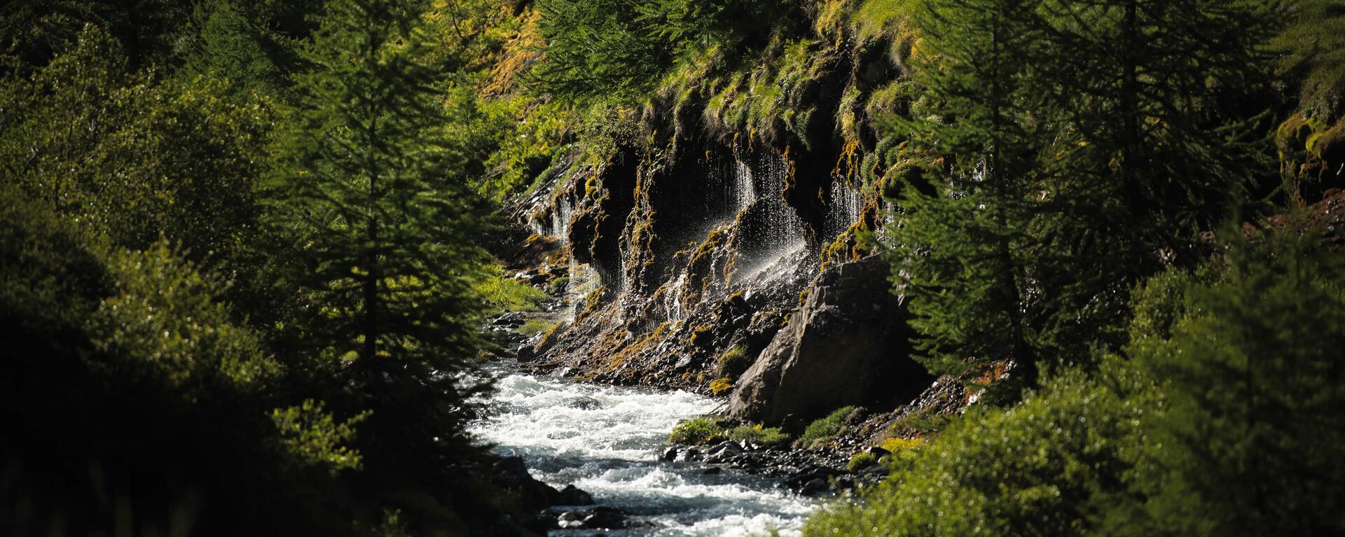 Sept bonnes raisons de partir en micro-aventure