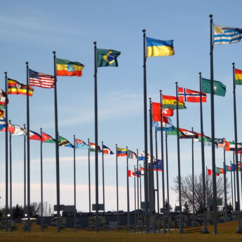 Les Drapeaux De La Coupe Du Monde De Rugby