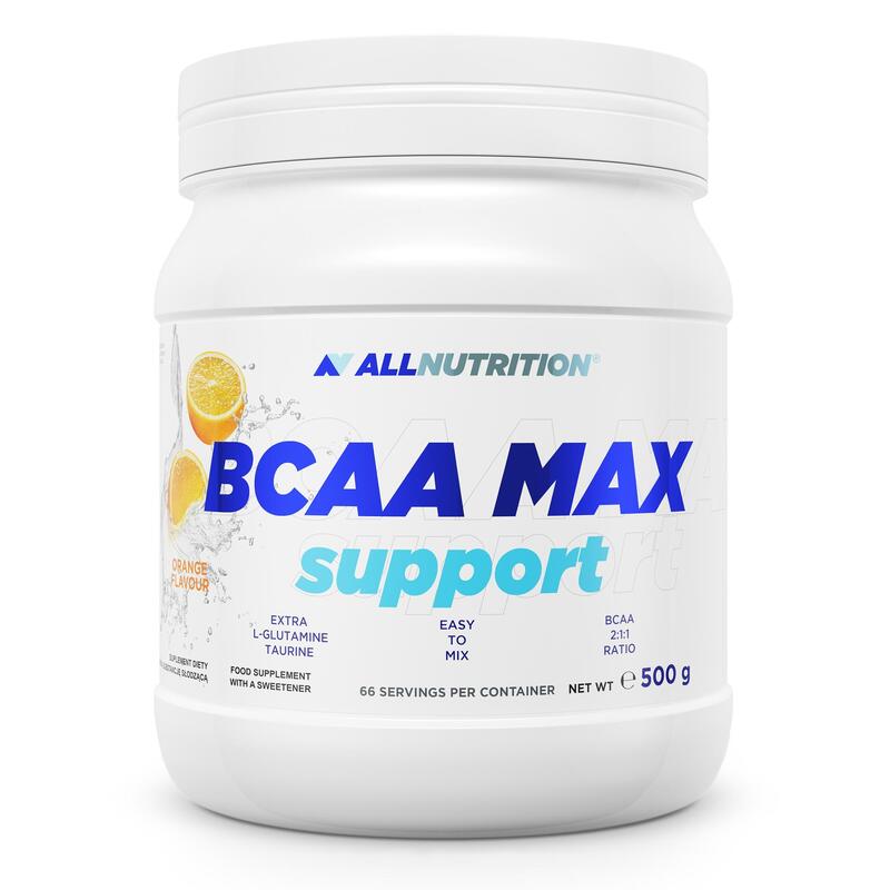 BCAA MAX SUPPORT 500 g ORANGE