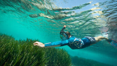 snorkelingpicture.jpg