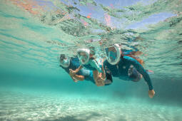Free-diving