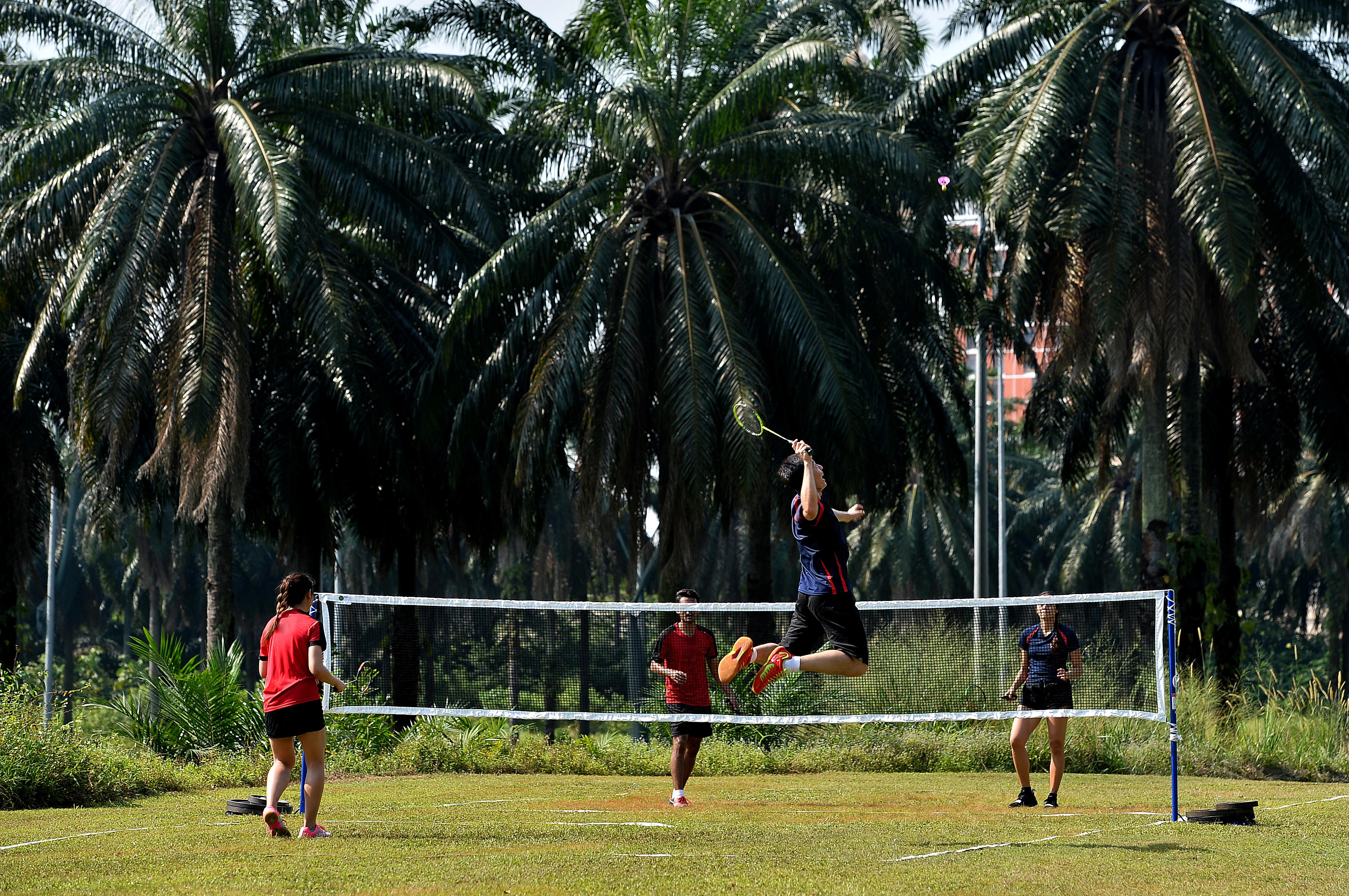 Badminton Shuttlecocks Decathlon Australia