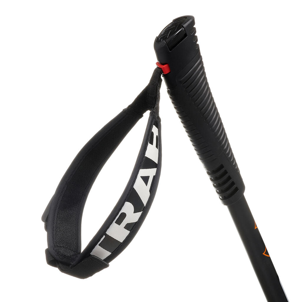 Ski Touring Pole