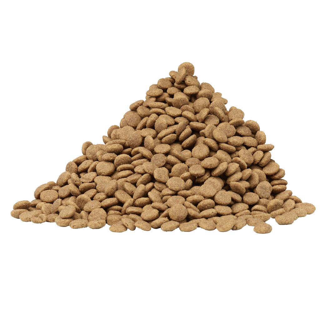 Pilnvērtīga suņu barība “Dog Chow”, 14 kg, ar lasi