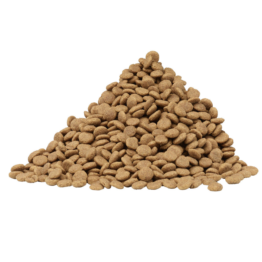 Granuly – kompletné suché krmivo pre psy s lososom 14 kg