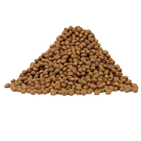 JUNIOR DRY DOG FOOD  PUPPY CHICKEN DOGSHOW 14KG