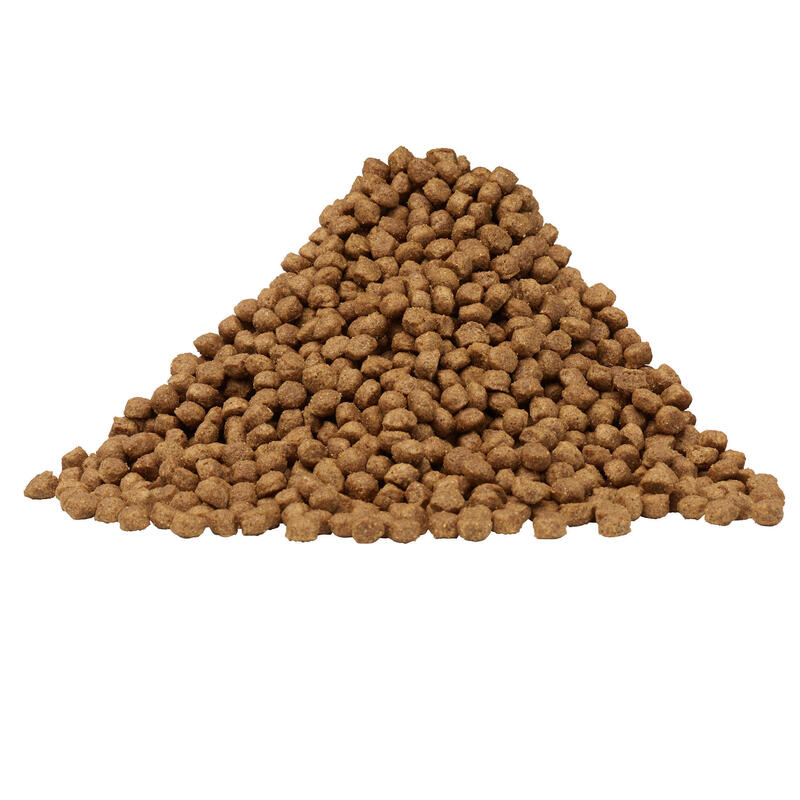 CROQUETTES CHIEN JUNIOR PUPPY POULET DOGSHOW 14KG