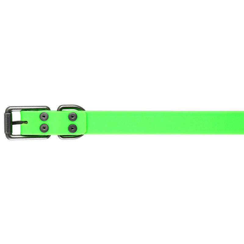 Hundehalsband grün900
