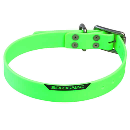 
      Dog collar green 900
  