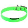 Hondenhalsband groen900