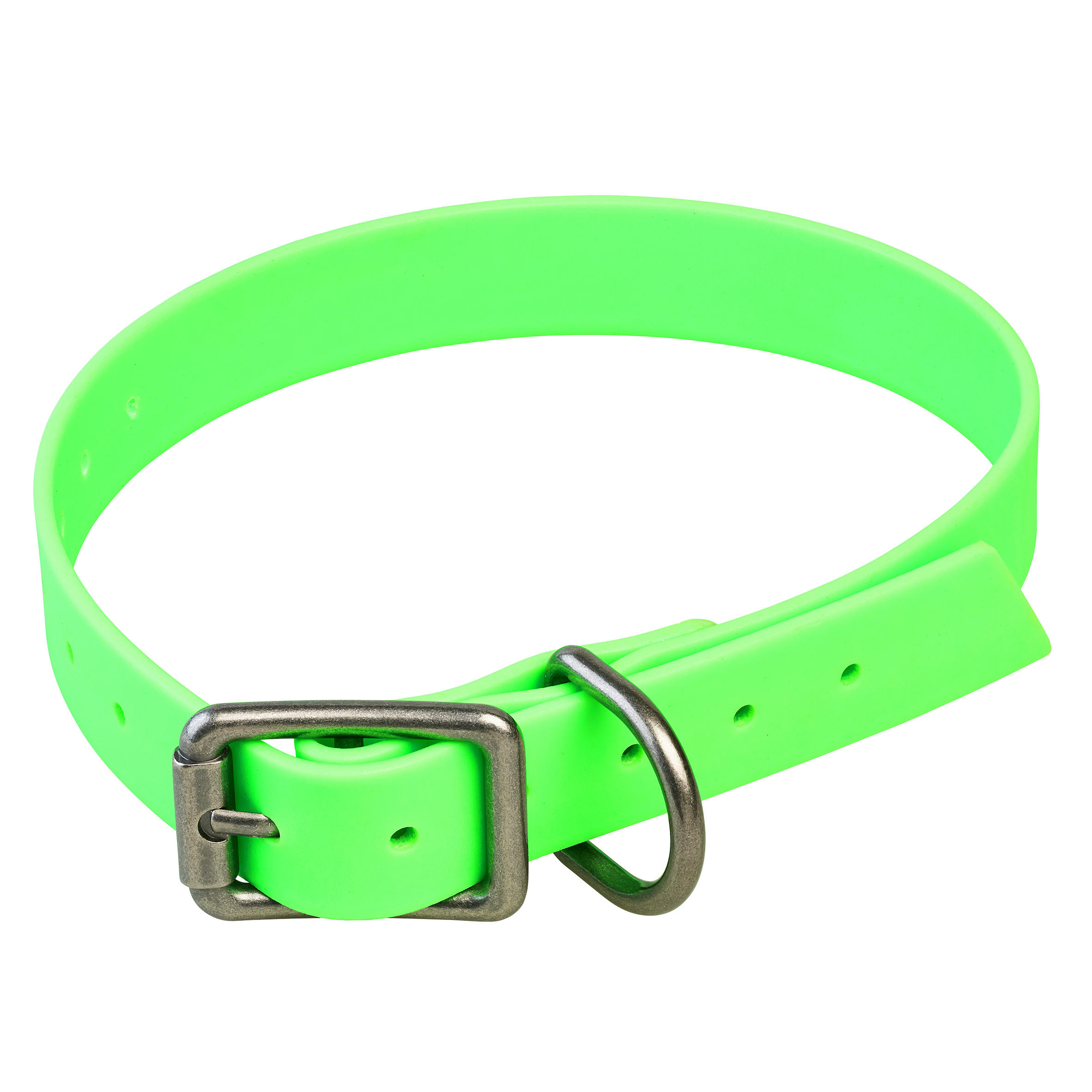 a dog collar