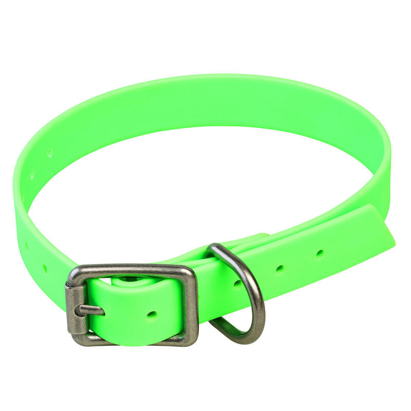 Hundehalsband grün900