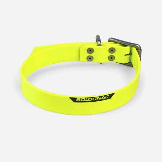 
      Dog collar yellow 900
  