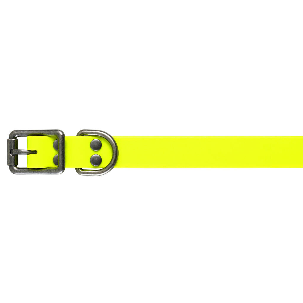 Dog collar yellow 900