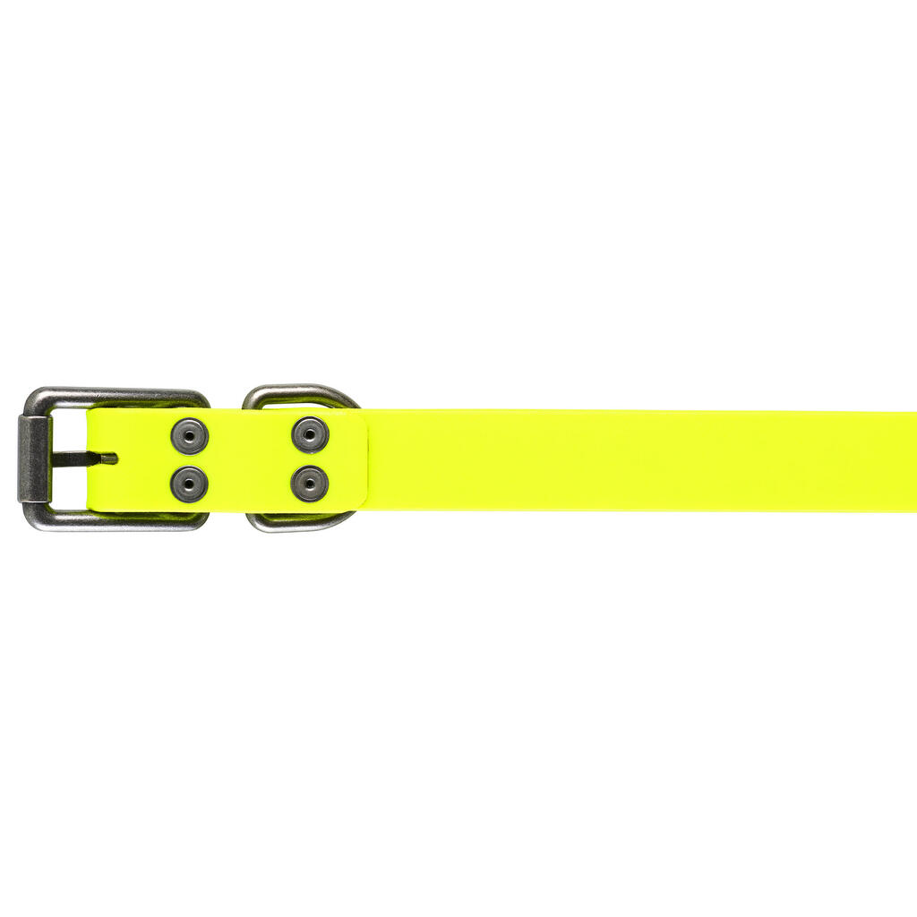 Dog collar yellow 900