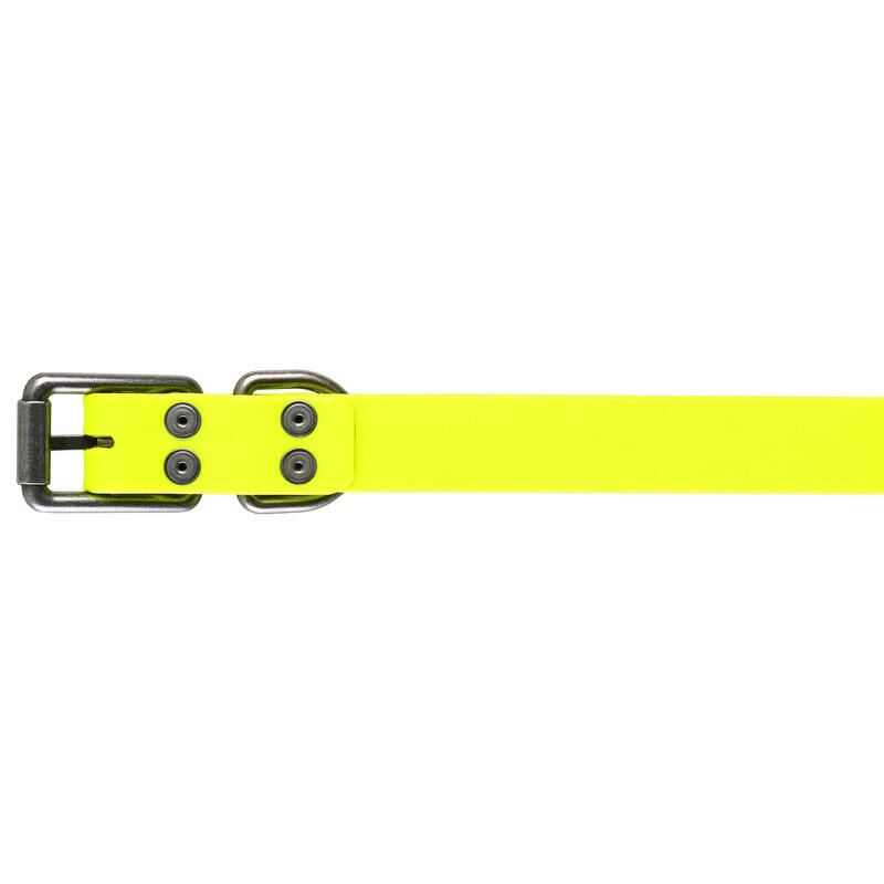Hundehalsband gelb900