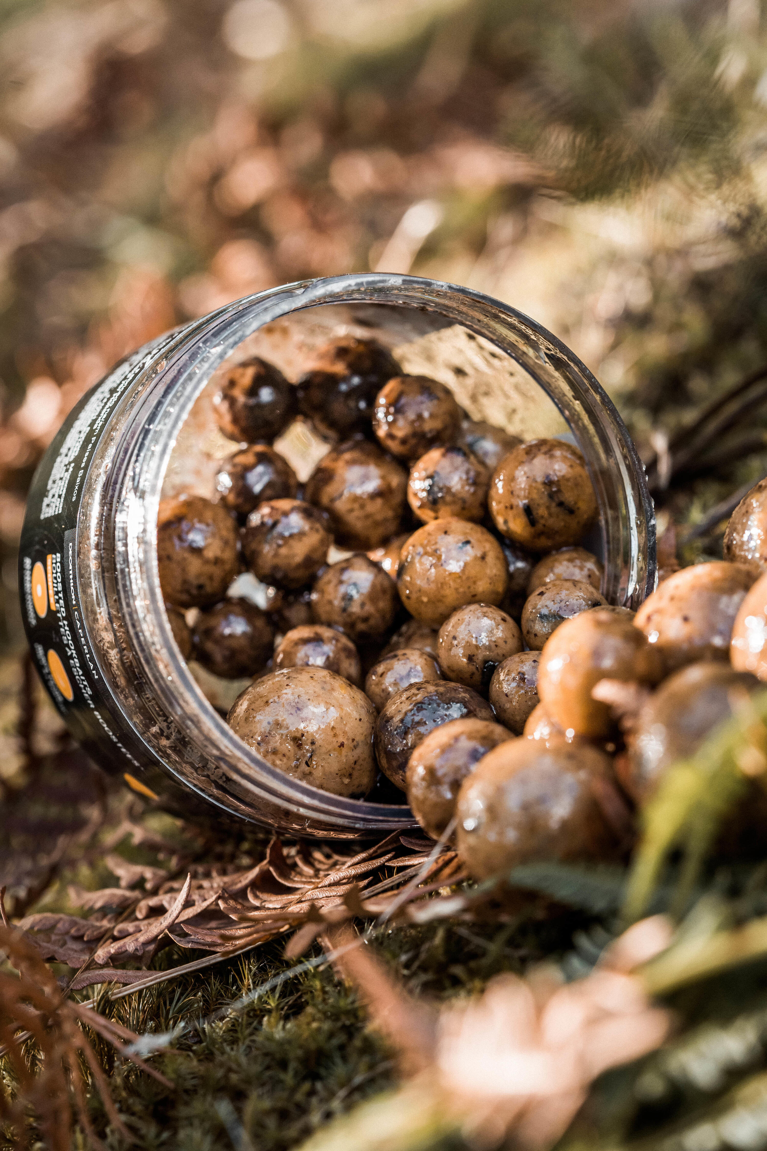 Boiles carp fishing HOOKBAITS fragola 6/9