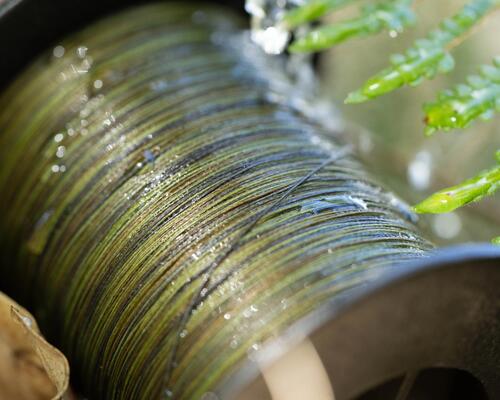 Comment choisir son diamètre de fil pour la pêche de la carpe ?