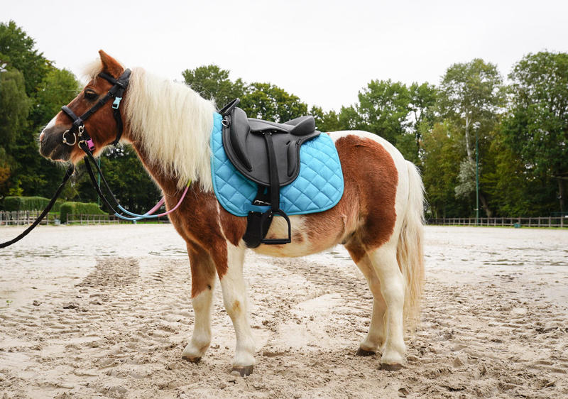 ECHIPAMENTUL PENTRU ȘA  