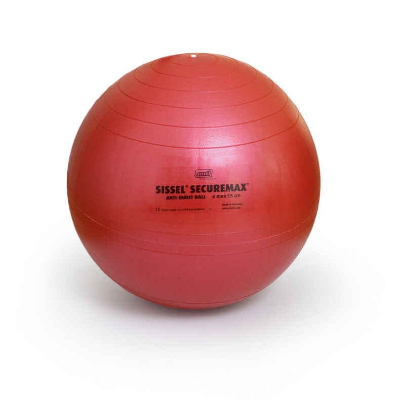 Gym Ball Secure Max Fitness Size 1 55 cm - Pink