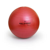 Ballon de gym rose