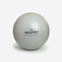 BALLON DE GYM SISSEL SECURE MAX FITNESS TAILLE 2 - 65CM GRIS