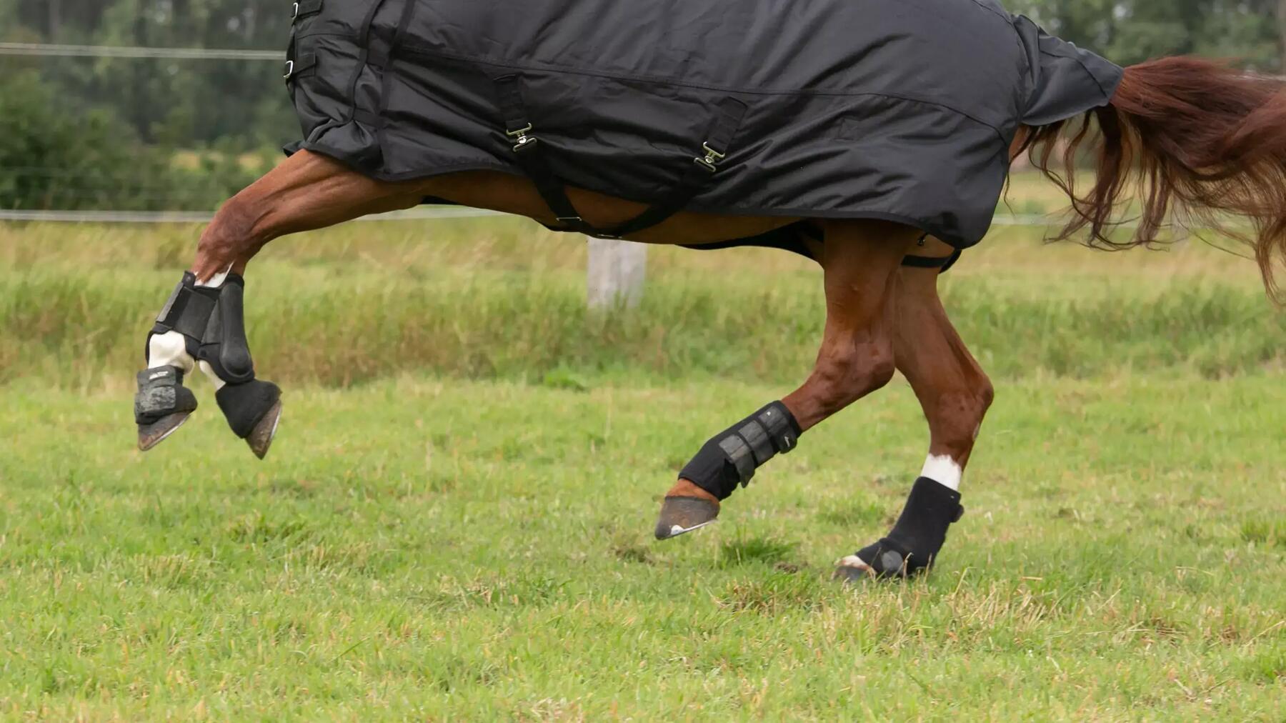 comment choisir des cloches pour chevaux ?