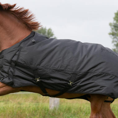 Come scegliere la coperta per il cavallo