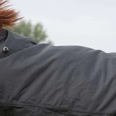 chemise pour cheval