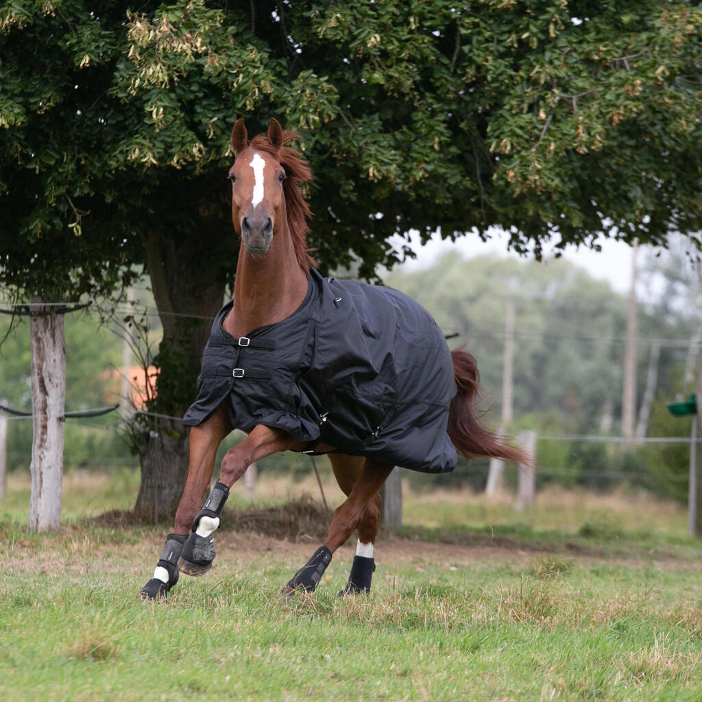 Waterproof Horse Rug 1000D Allweather 50 - Black