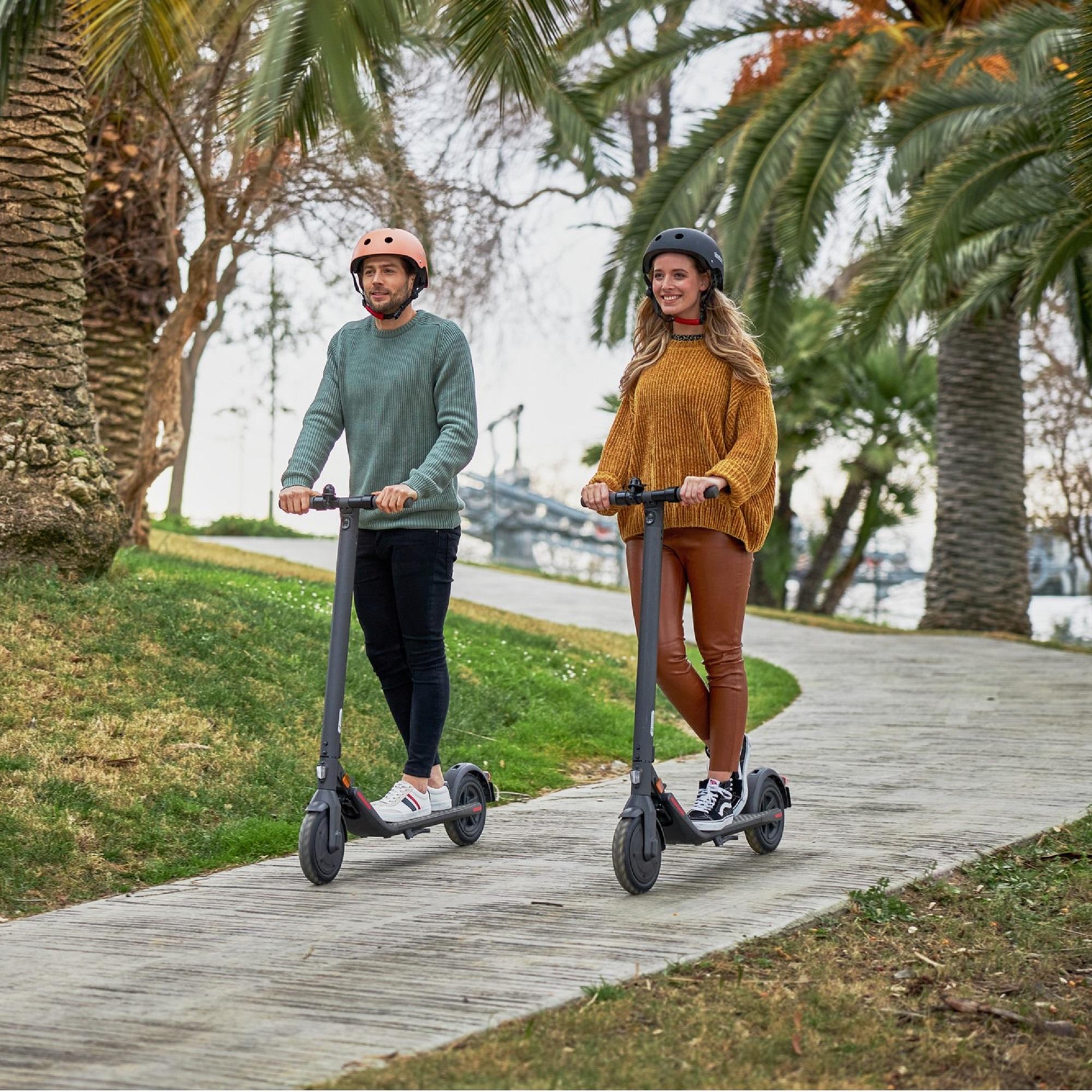 Segway E-Scooter E22D