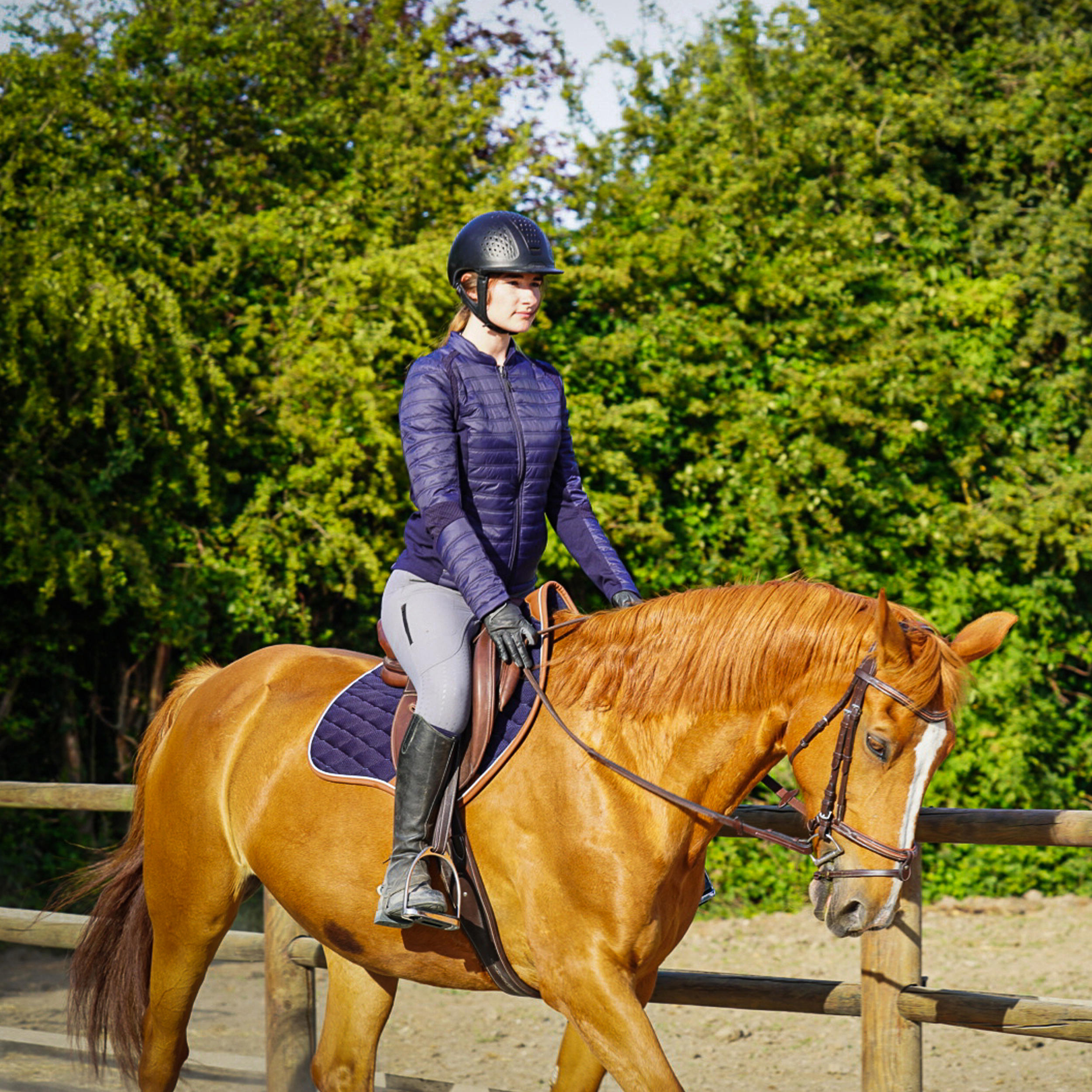Cavalier Veste Ã©équitation Femme Decathlon Penelope Impermeable