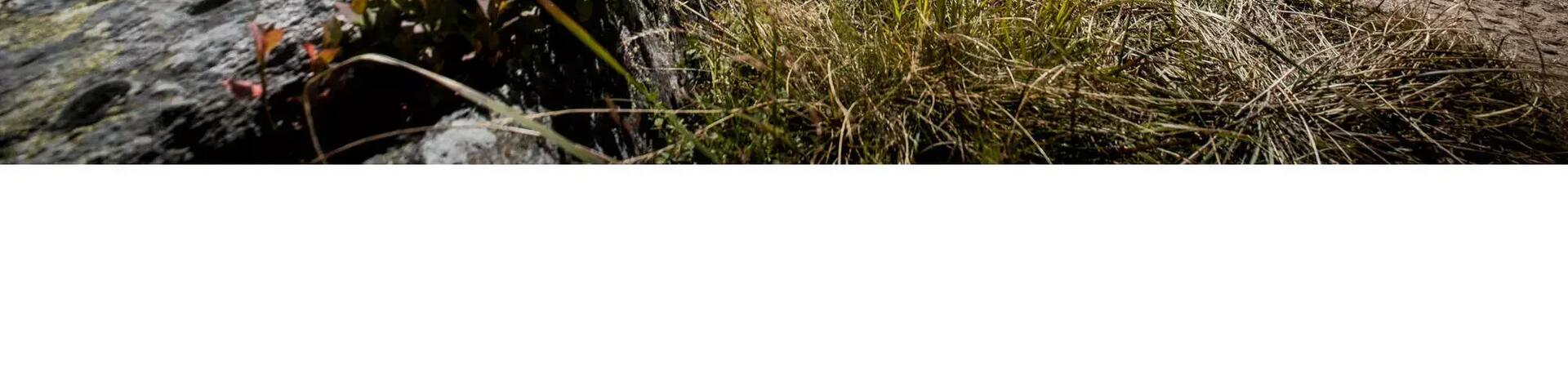 Close up for person running on trail. 