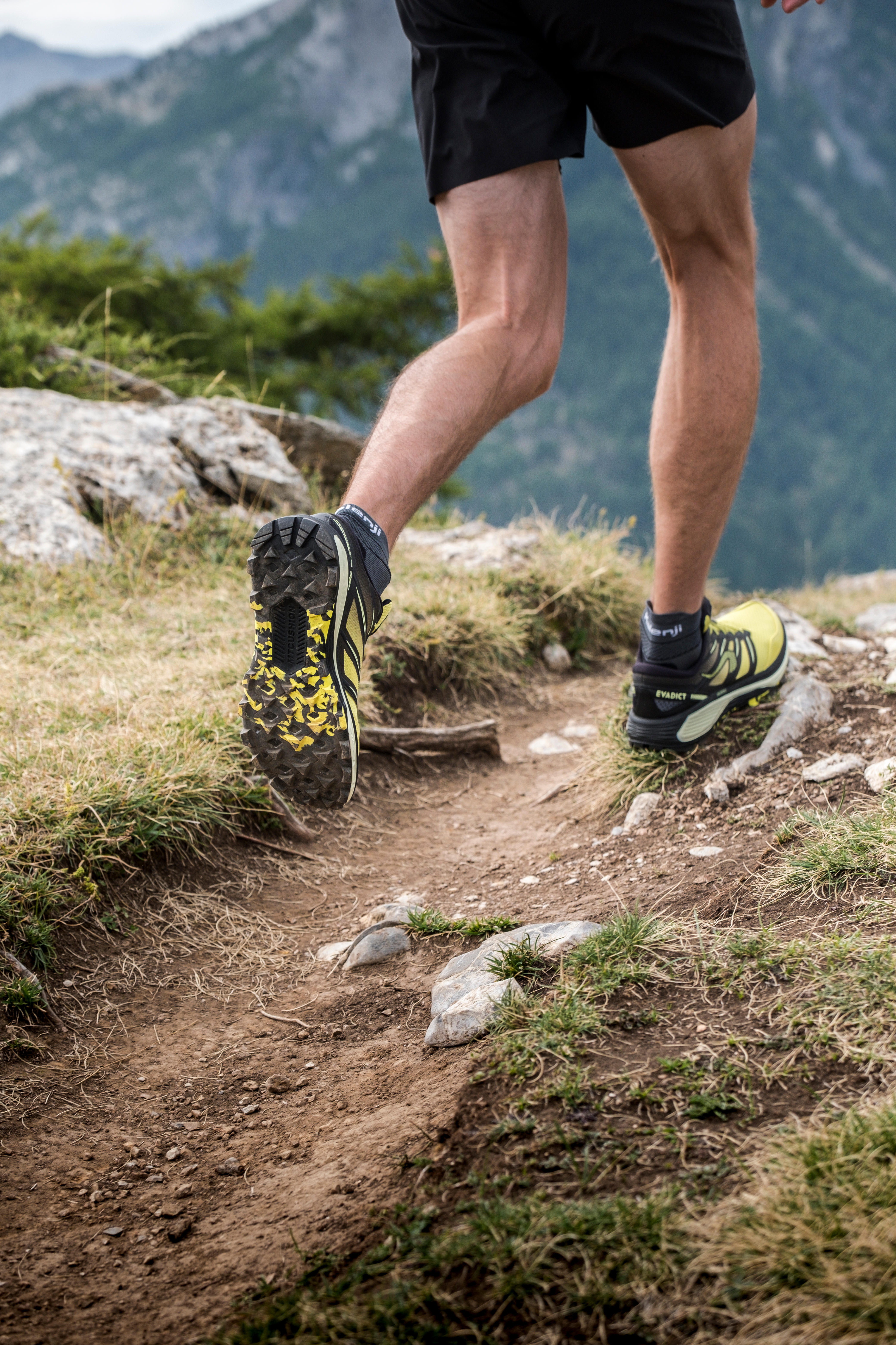 evadict mt cushion review