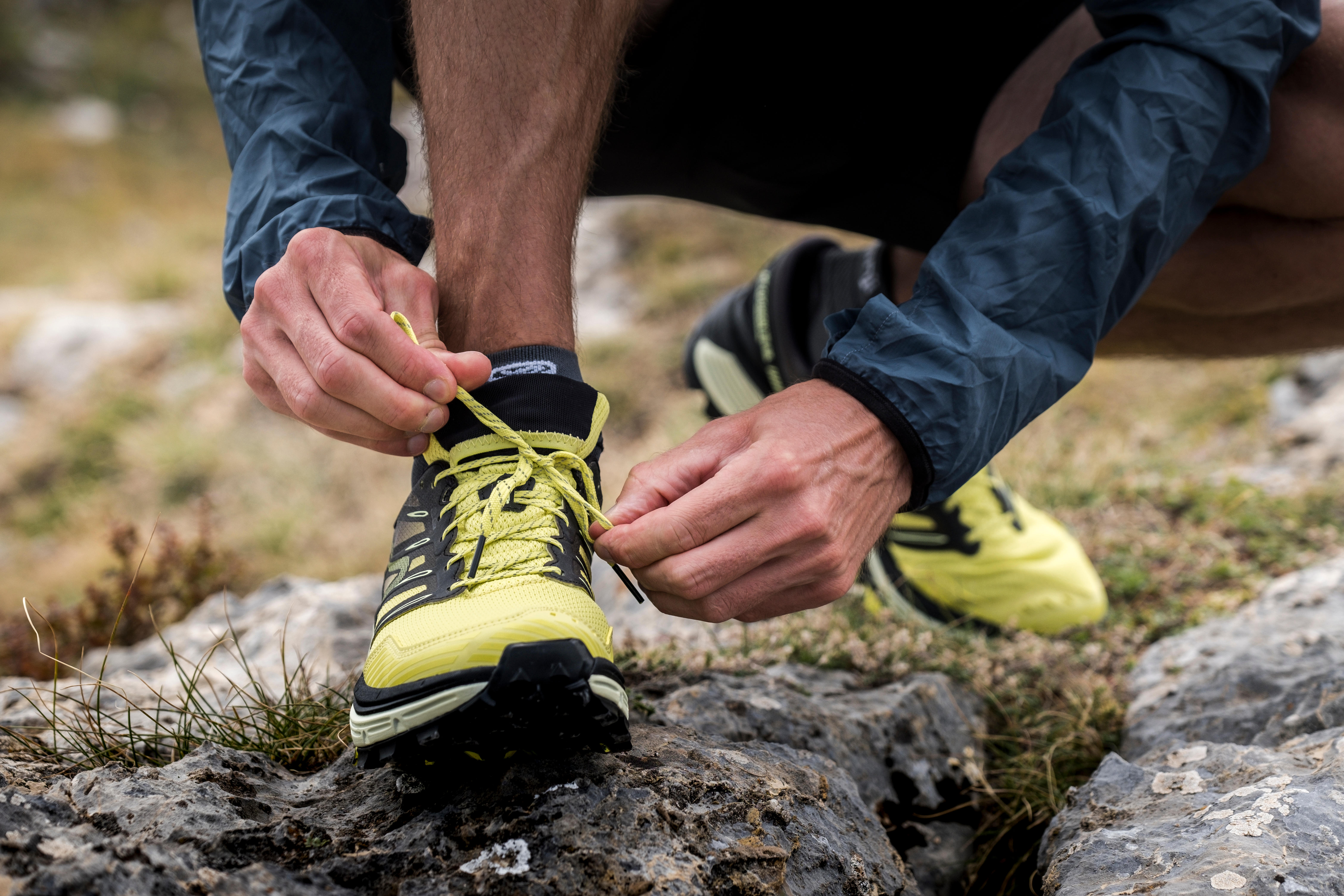 evadict mt cushion review