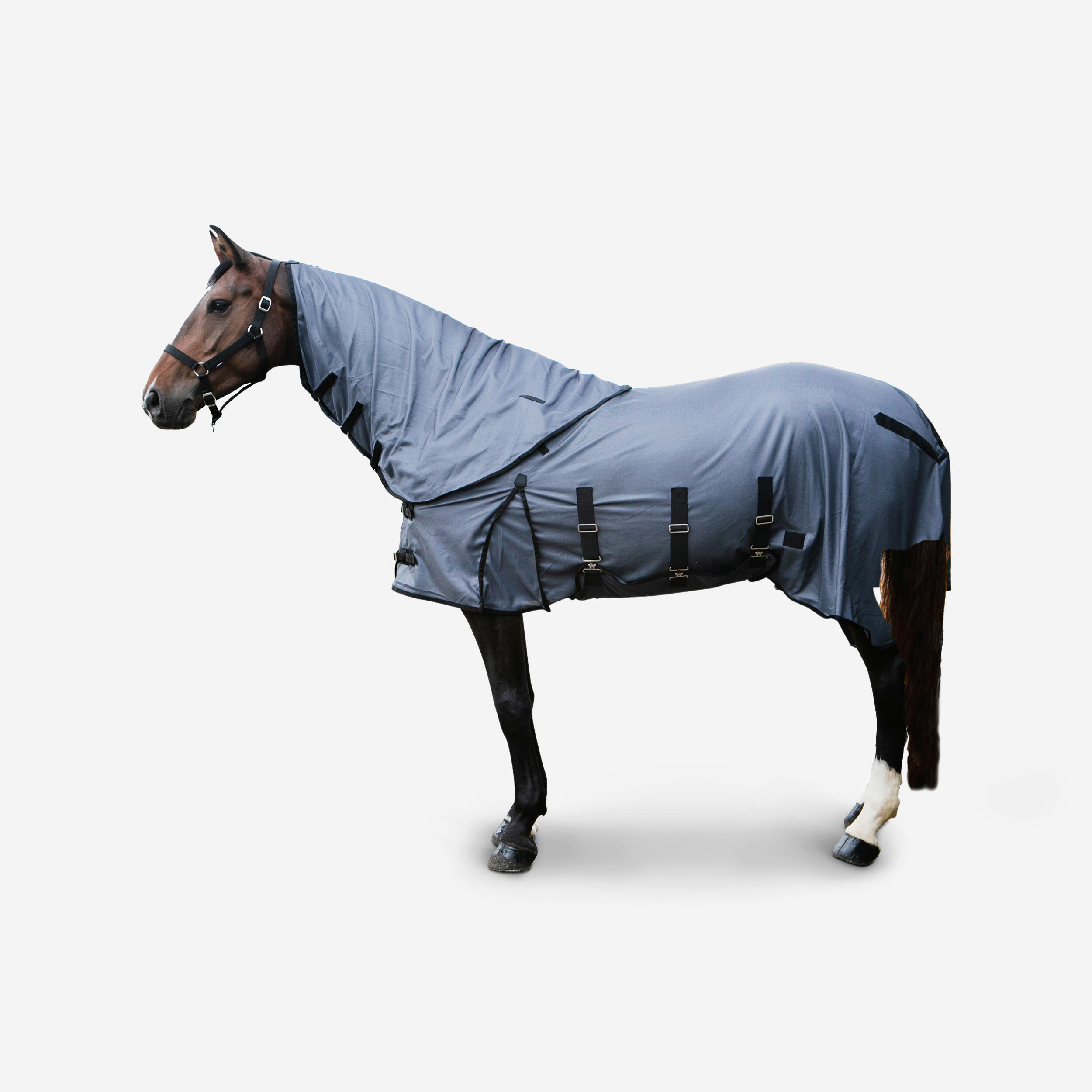 Pătură protecție insecte cal și ponei Gri anti-insecte  Echipament de ingrijire cal