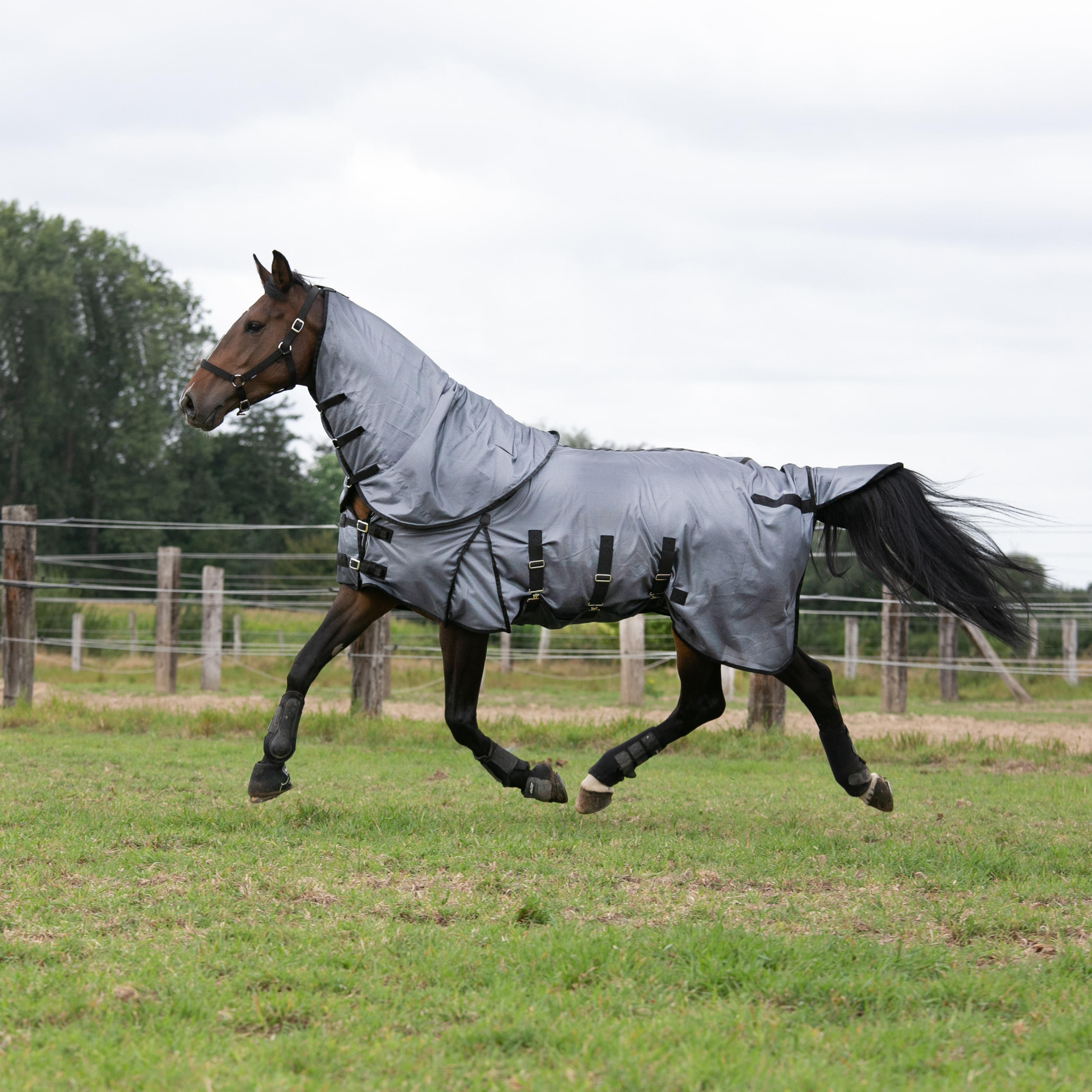 Horse Riding Fly Sheet for Horse & Pony 100 - Grey 2/7