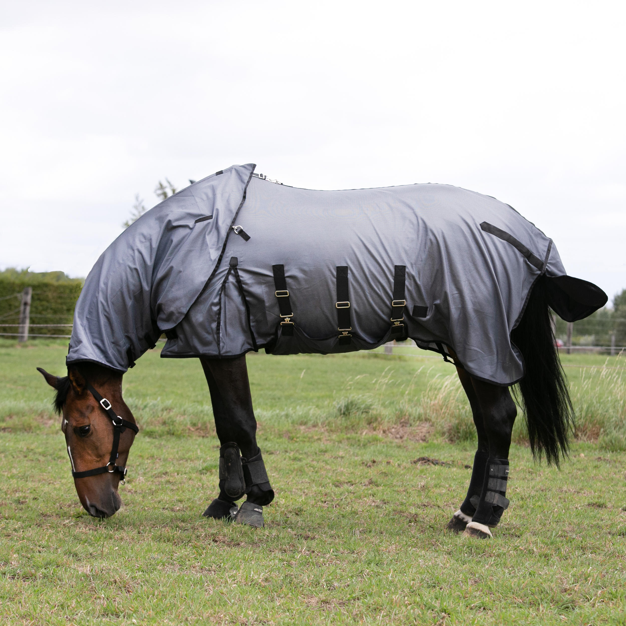 Chemise anti-mouche d'équitation pour cheval et poney - 100 gris - FOUGANZA