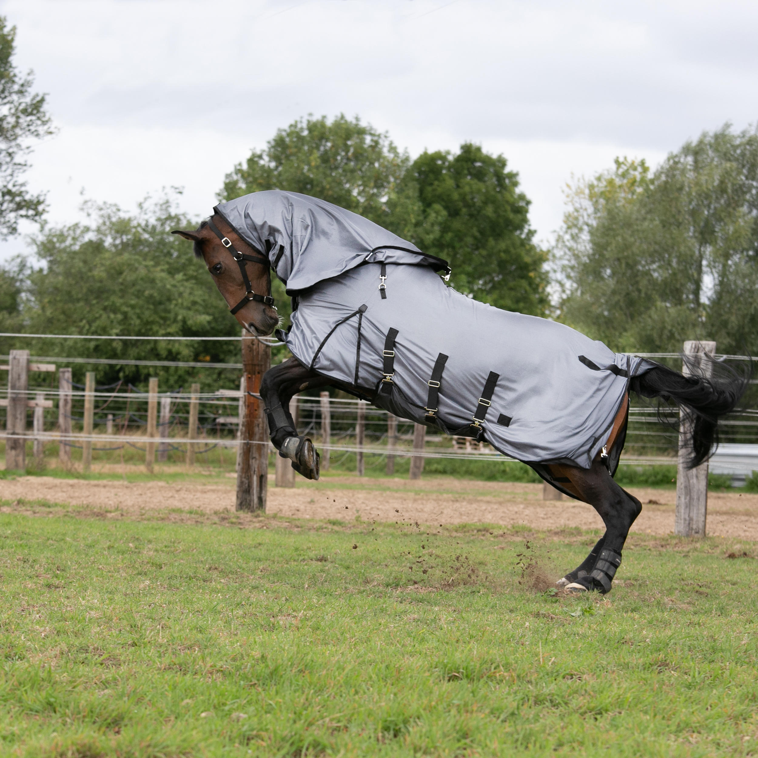 Chemise anti-mouche d'équitation pour cheval et poney - 100 gris - FOUGANZA