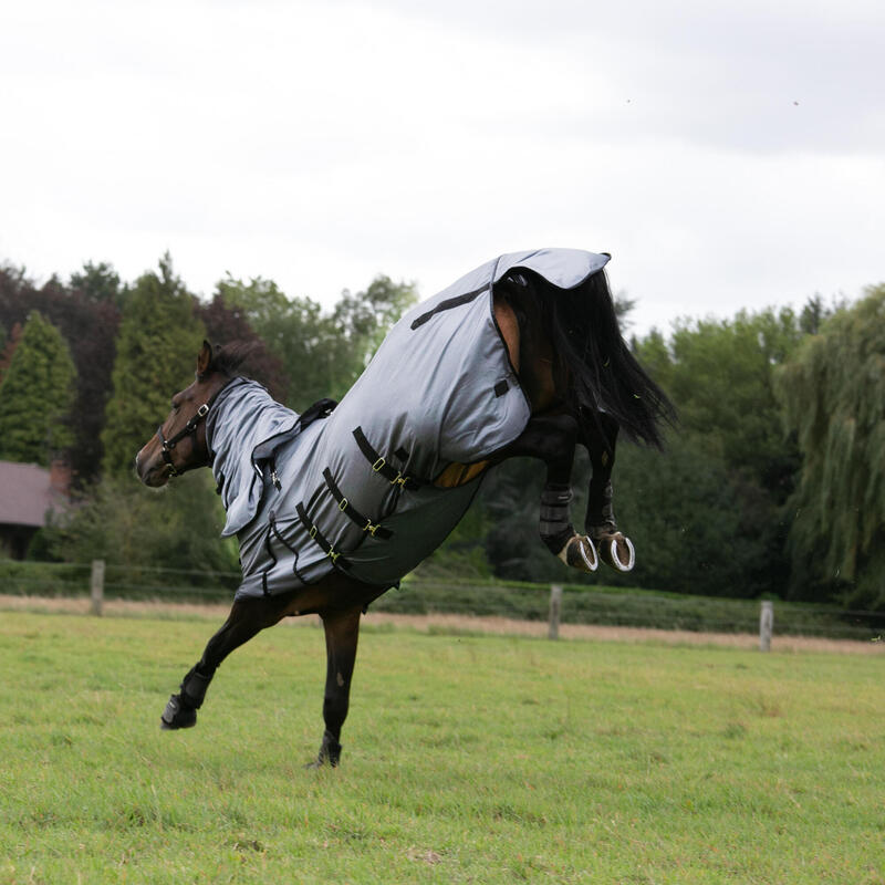 Chemise anti-mouche équitation Cheval et Poney - 100 grise