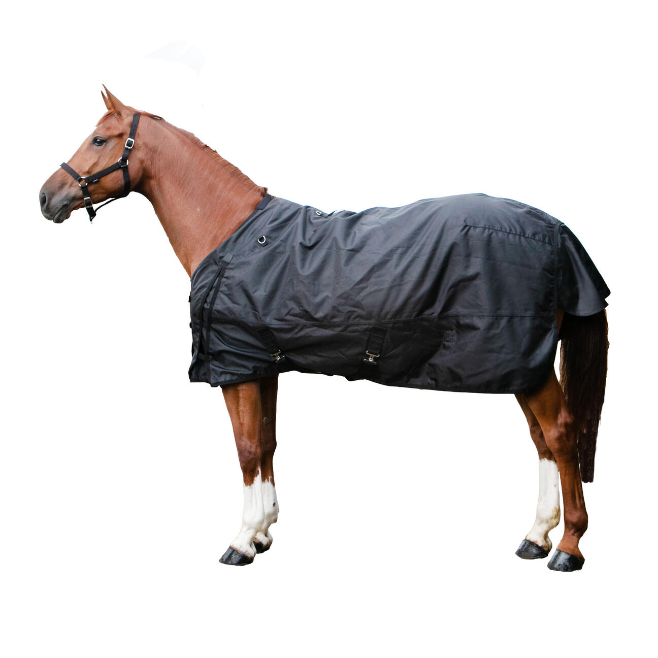 Outdoor Waterproof Rug For Horses Allweather 50 Black Fouganza Decathlon