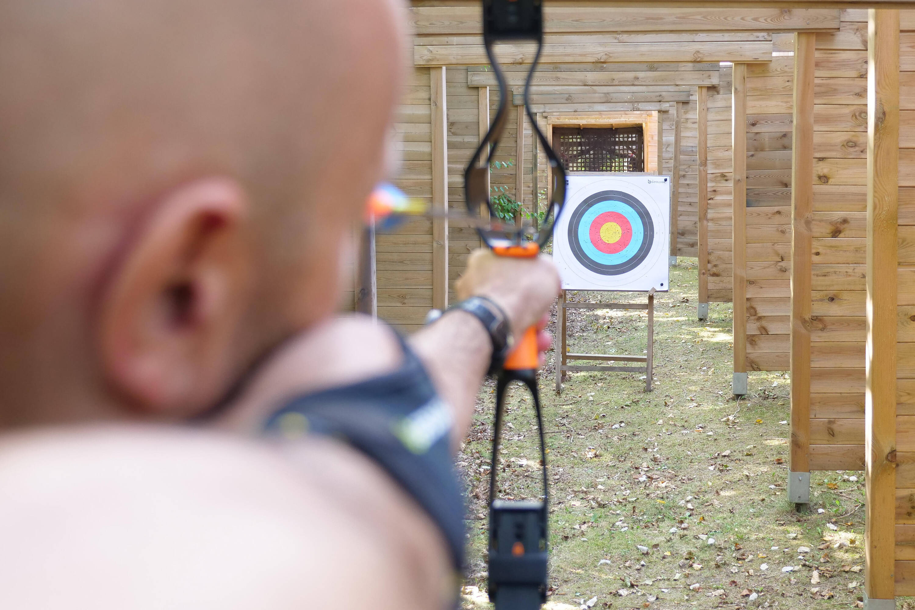 Archery Carbon Arrows Discovery 300 (Pack of 3) -  3
