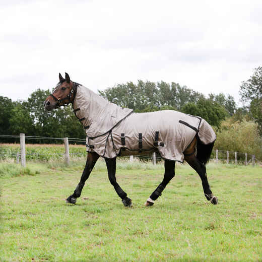 
      Horse Riding Fly Sheet for Horse & Pony 100 - Beige
  