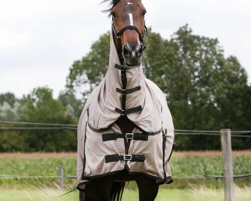 Voelt je paard zich goed in de weide? 