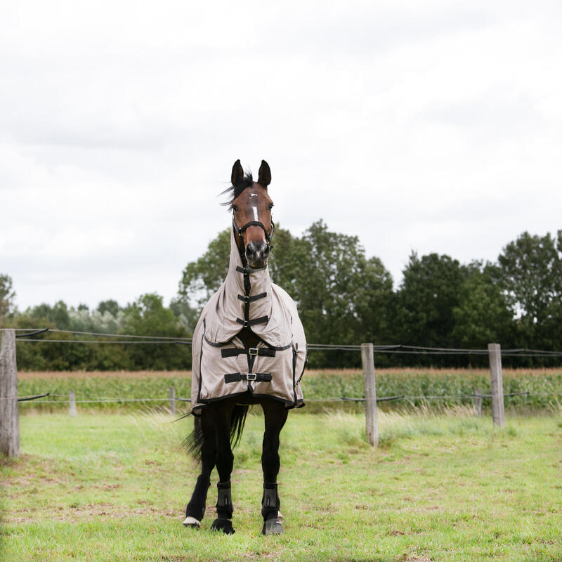 Chemise anti-mouche équitation Cheval et Poney - 100 beige