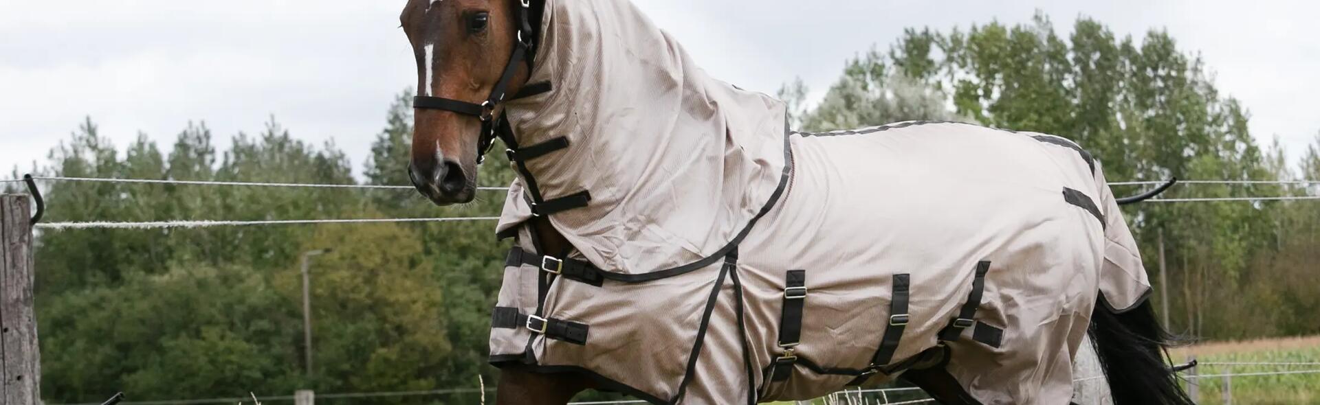 Voelt je paard zich goed in de weide? 