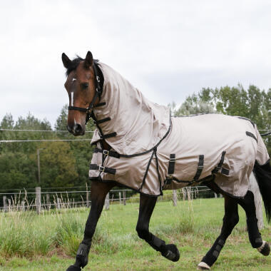 Voelt je paard zich goed in de weide?