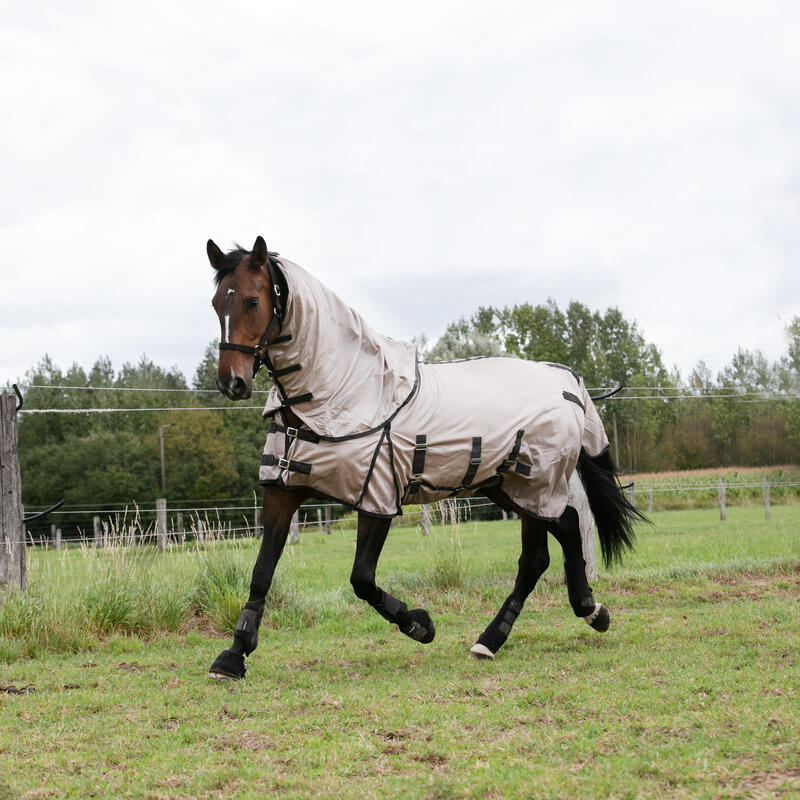 Coperta leggera antimosche equitazione pony e cavallo beige